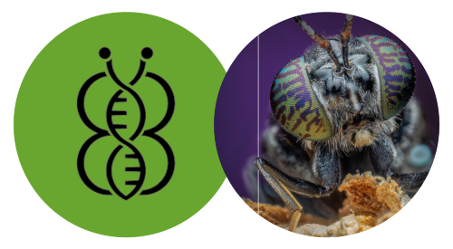 Secured equity funding from Angel Syndicate and Government Enterprise Agency, enabling Development of R&D, Production & International Sales. 